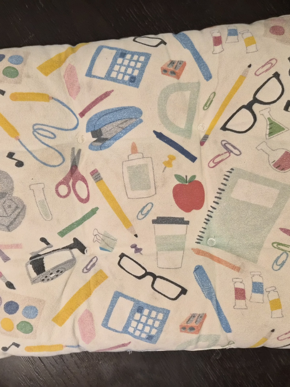 Teacher Seat Pillow/Cushion 👩‍🏫